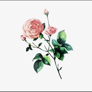 Meet your Posher, Jane